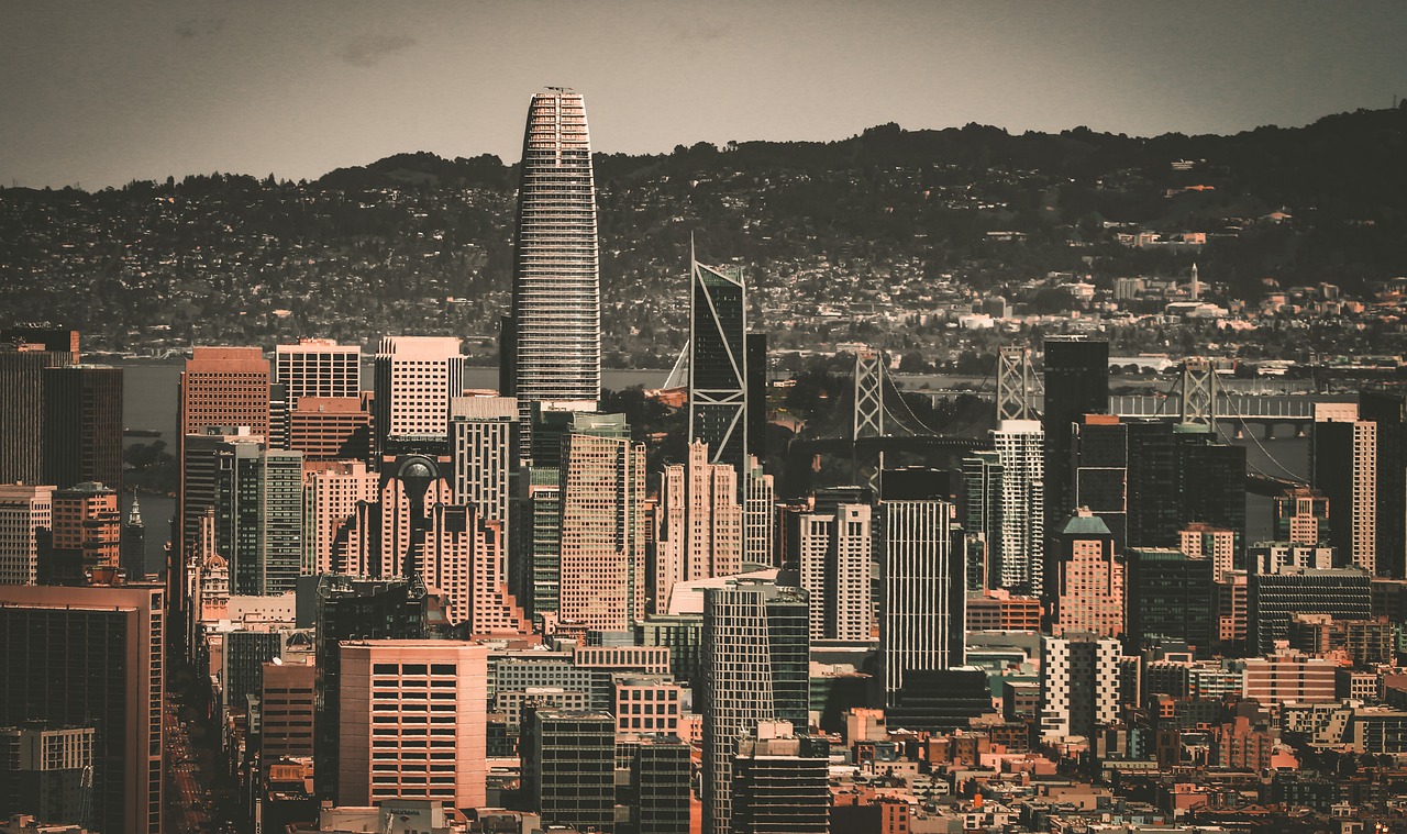 兼具的边路 兼具的边路