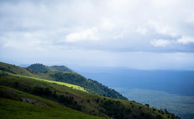 期的社会影 期的社会影