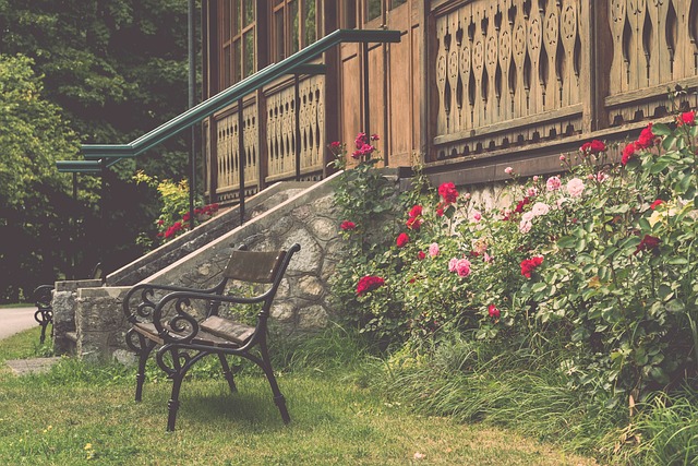 与此同时 与此同时