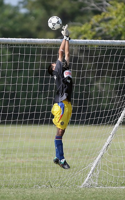 的悉心指导 的悉心指导