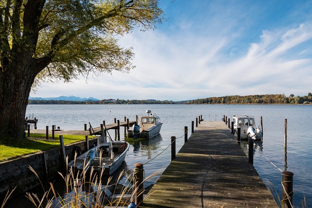 那麼團隊精 那麼團隊精