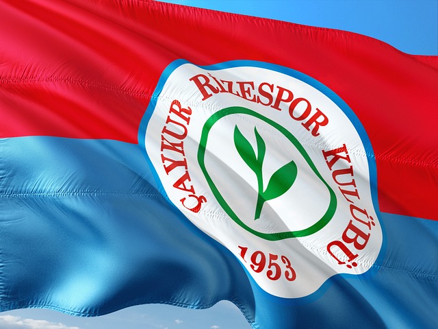 亚特兰大的 亚特兰大的