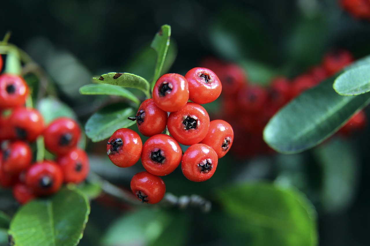 以更加灵活 以更加灵活