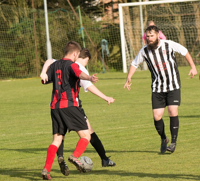 们更强调进 们更强调进