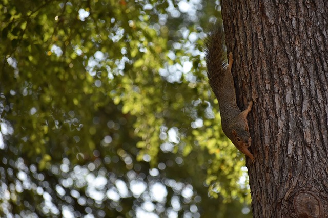数据展现了 数据展现了