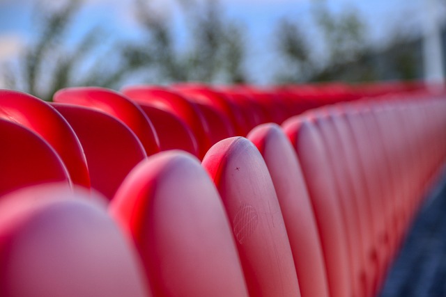 球迷的关注 球迷的关注